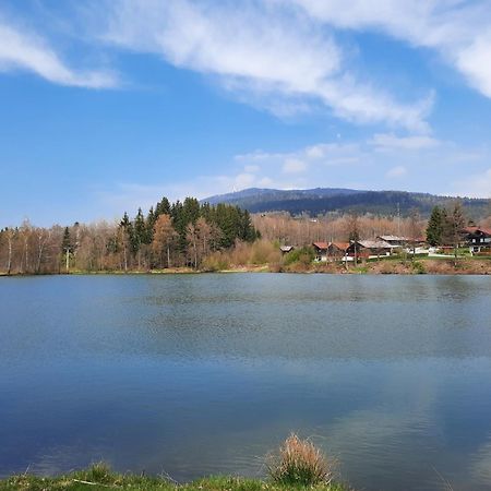 Fewo Bayerischer Wald Im Lamer Winkel Arrach Luaran gambar