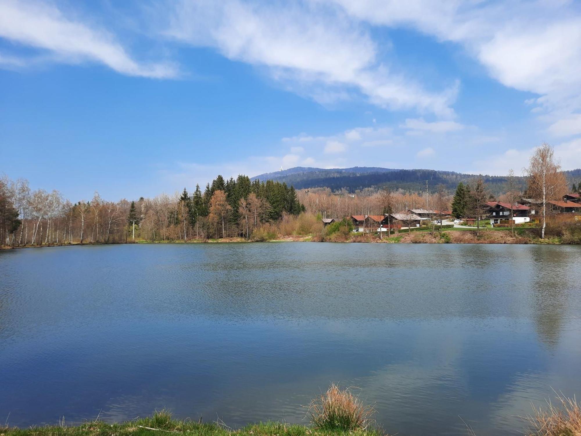 Fewo Bayerischer Wald Im Lamer Winkel Arrach Luaran gambar