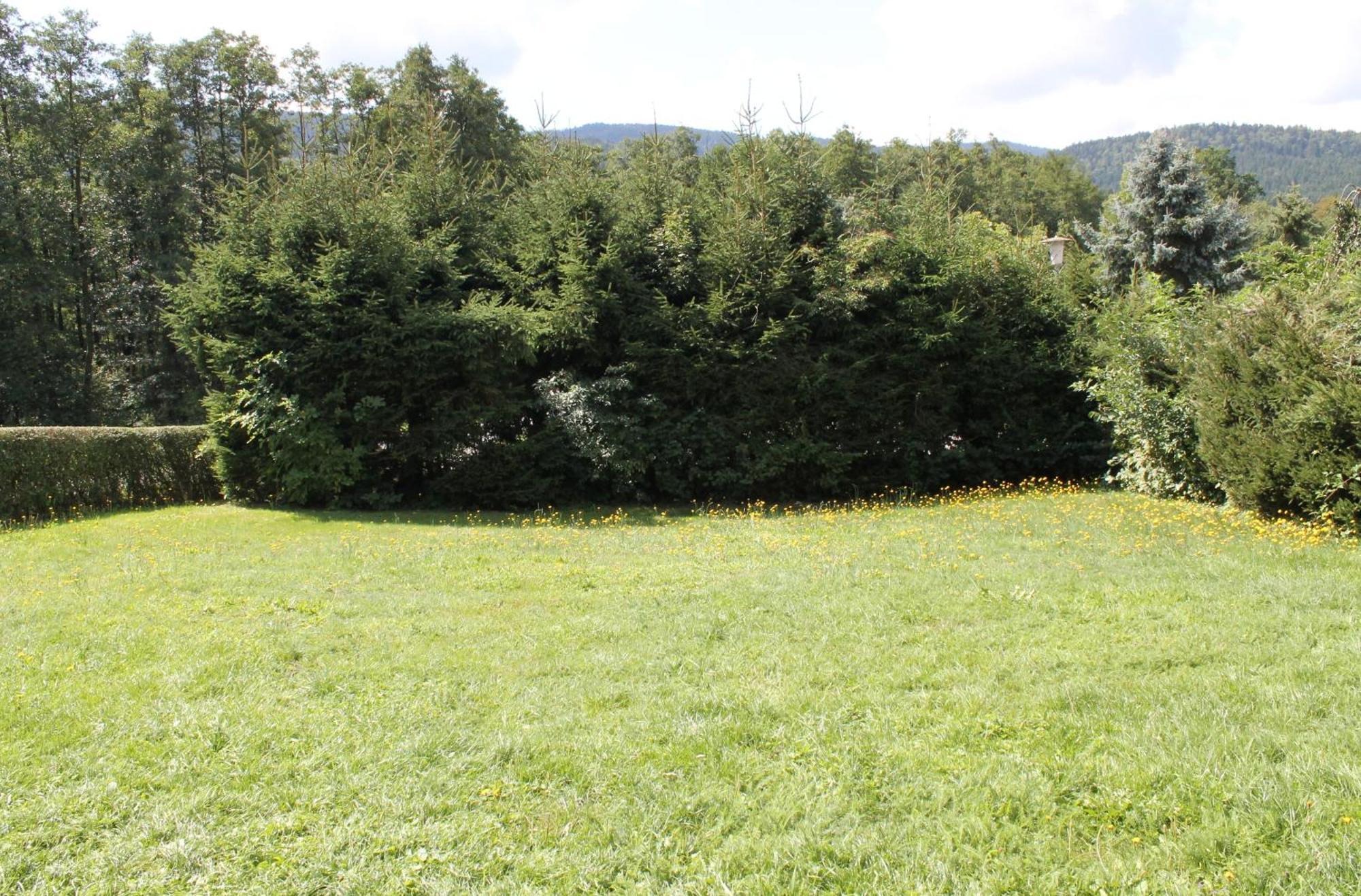 Fewo Bayerischer Wald Im Lamer Winkel Arrach Luaran gambar